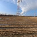 교로1리마을회관 이미지