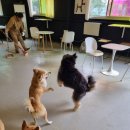 멍스 컨테이너 이미지