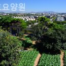 은성효요양원 이미지