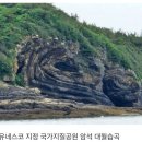 인생샷 대월습곡(부안 위도섬)유네스코지정 국가지질공윈 달팽이모양 암석 이미지