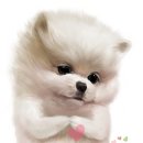 강아지그림