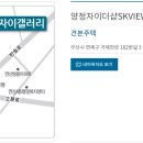 SK-View 이미지
