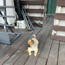 바베큐팩토리 서산점 이미지