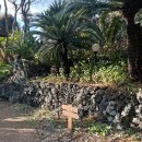 지니커피집 | 제주도 카페 중문별장 커피 오마카세 솔직 후기 (나혼산 코쿤 커마카세)