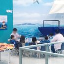 [화성] 어린이 문화센터 키즈 체험관 이용후기, 겨울방학 갈만한 곳