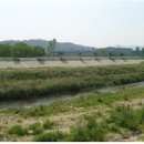 영산강뚝방길 이미지