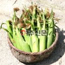 가래울 이미지