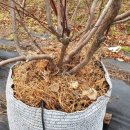 동트는농원 이미지