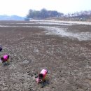 청산별곡 이미지