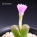 오후룸 이미지