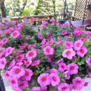 죽동 대원칸타빌 이미지