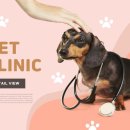 조 동물병원 이미지