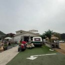 장수동 은행나무 | 인천대공원 장수동 은행나무뷰 대형카페 소슬재 후기 | 주차 정보