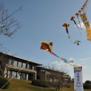 파인비치 이미지