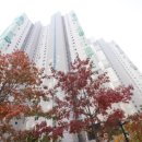 봉담자이라피네공인중개사사무소 이미지