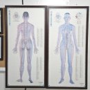 몸살림운동 | 근막이완과 체형교정 되는 몸살림운동대구수성수련원(김용범의 몸이야기)