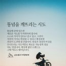 시도 이미지