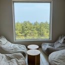 1428 | [강원도]보사노바 커피로스터스 속초 분위기 좋은 대형카페|층별안내 방문후기