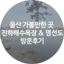 진하해변길L | 진하해수욕장 후기｜무료 주차·샤워장 좋은 울산 여름 여행지