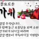 나인짐 이미지