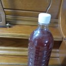 코디얼(cordial)