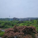 신라호텔 연회장 알바 후기(호텔 일일알바/신라호텔 알바비 공개)