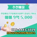 연세중앙공인중개사사무소 | ▶슬기로운부동산공인중개사사무소◀ 어진동 아파트 매매 한뜰마을2단지세종더샵센트럴시티 9억 5,000