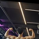 바디온짐 | [바디온짐 부평점] 짧고 굵게 끝내는 등 운동 루틴