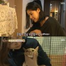 알콩달콩 이미지