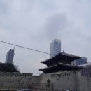 촌놈양말 이미지