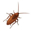머물래 이미지