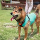 멍스퀘어 이미지