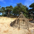 오산리선사유적박물관 이미지