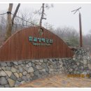 봉산부치기