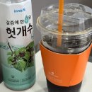 약한 듯 살아가는 것만으로도