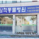 삼척동물병원 이미지