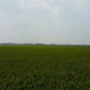 도전세일즈맨 이미지