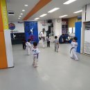 석사 경희대 효 태권도 이미지