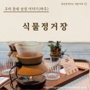 카페정거장 - 영등포구 영신로20길 2 | 부모님 모시고 가기 좋은 힐링카페 "식물정거장" 후기