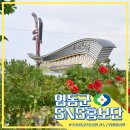 영동천1길 네이버블로그