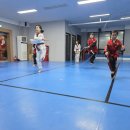 강호 해솔 태권도 이미지