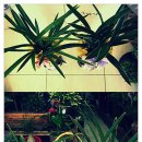 옥화농장 이미지