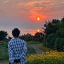✨️영광✨️스럽게 놀다온, 진짜 힐링 여행기💕 (카페노을...일몰🌅/대마 할머니 막걸리 후기🍶/신또바기감자탕)