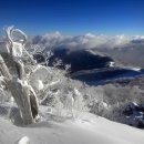 덕유자원 이미지