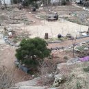 봄정원디자인 이미지