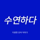 수연하다 이미지