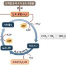 간성에너지 이미지