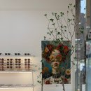 토브아이웨어 이미지