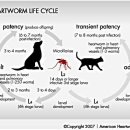성남동물약국 이미지