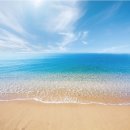 뮤즈힐여성의원 이미지